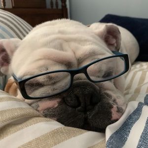 Meet your Posher, Cameronmess